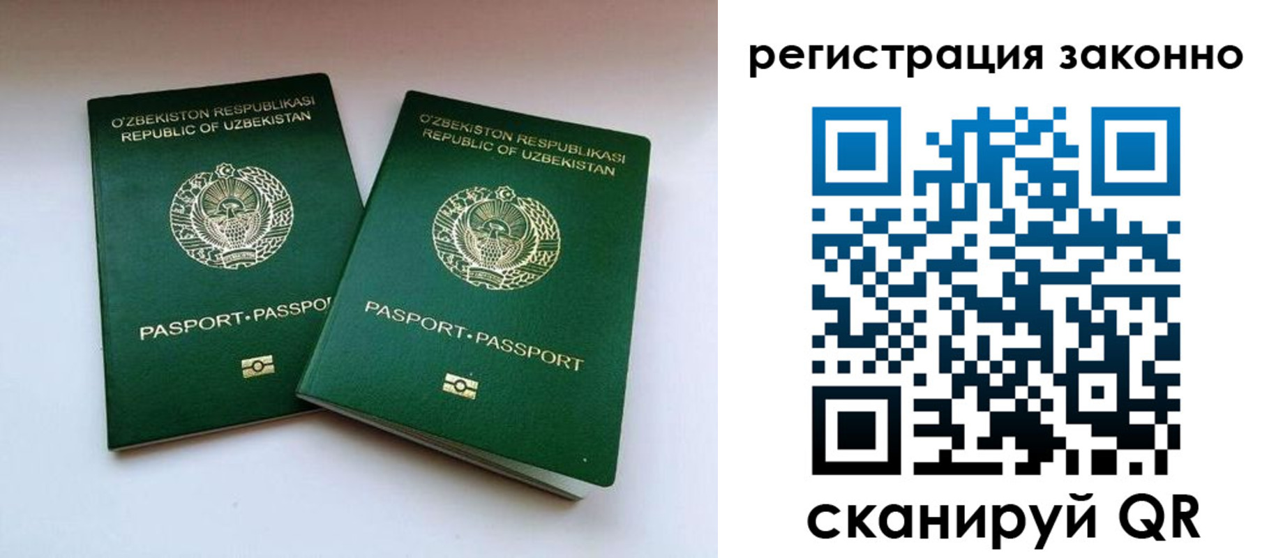 прописка гарантия в Вилючинске